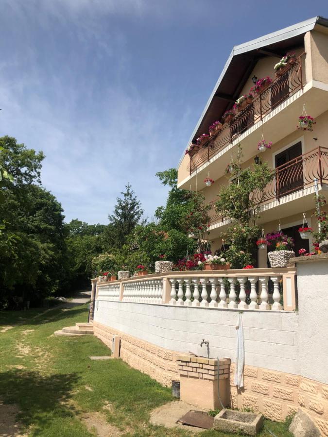 Apartman Ana Vrlika Eksteriør bilde